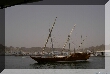 muscat 006.jpg